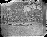 Brady-Civil-War-Photograph-Dead-ready-for-burial,-at-Fredericksburg,-Virginiaimage-t